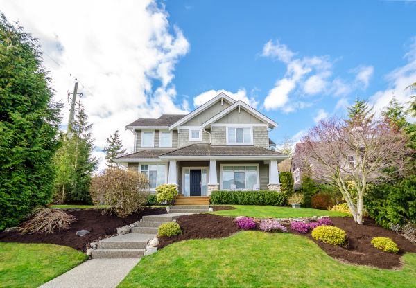 Landscaping Replacement in Zionsville