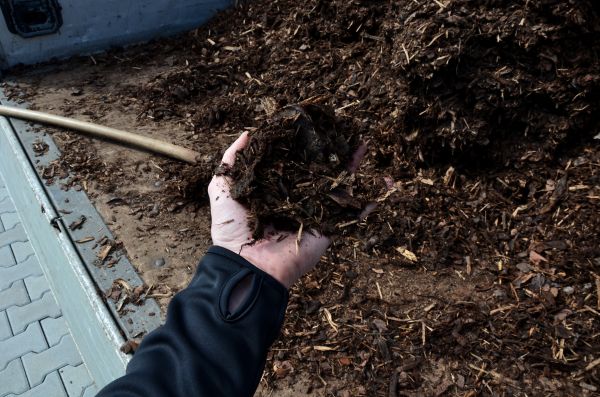 Condo Mulching in Zionsville