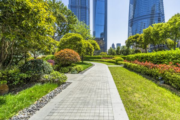 Commercial Landscaping in Zionsville