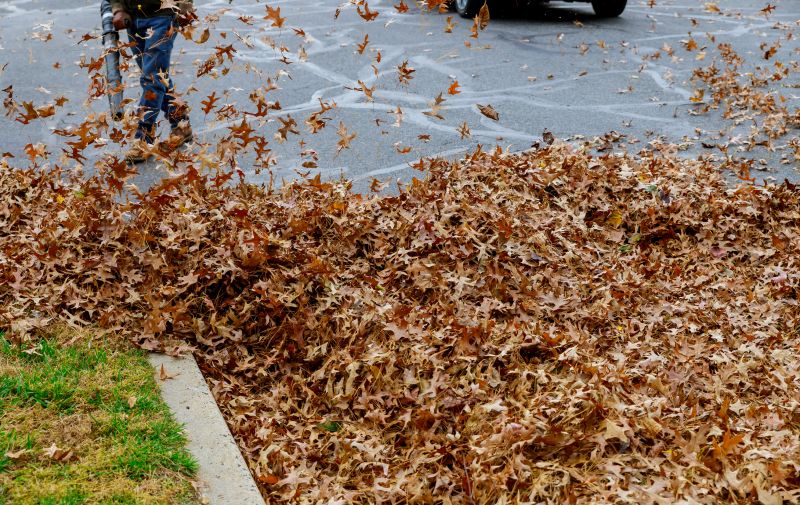 Fall Leaf Removal in Progress