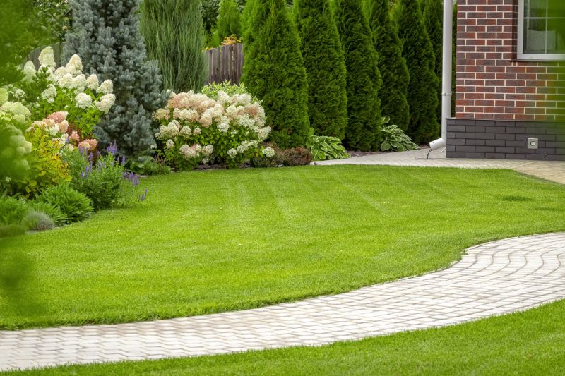Lush Lawn Designs