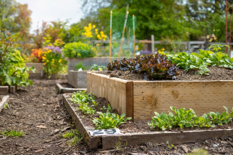 Garden Bed Creations