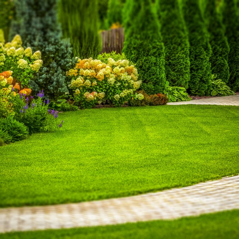 Lush Garden Designs